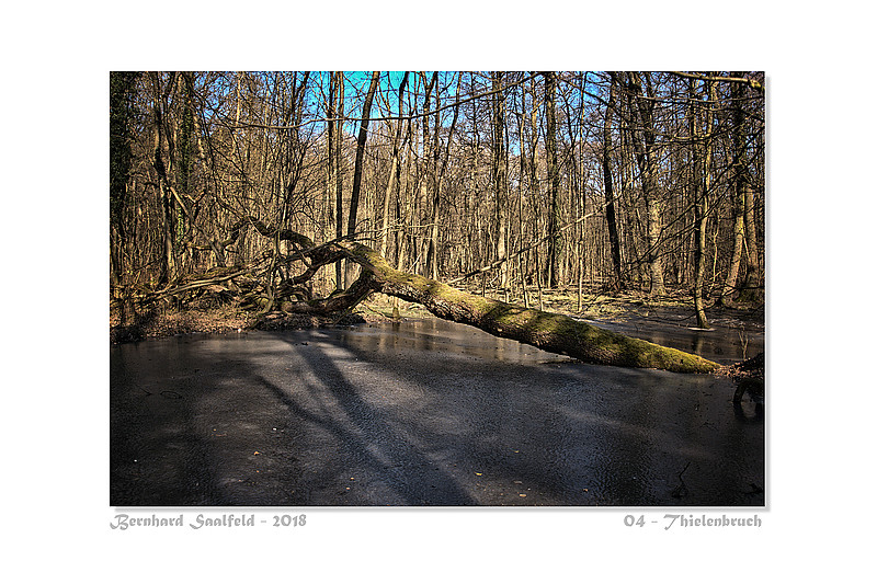 Bernhard Saalfeld - 04 - Thielenbruch_800